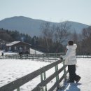 다송목장 이미지