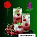 지자인