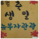 뉴부자관광 이미지