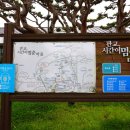 서천 판교 구 판교극장 이미지