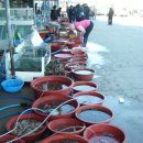 임동초교 이미지