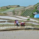 가천다랭이마을 이미지