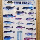 미연수산 | 곡성 미연복집, 삼계탕 대신 복쏘~하이 쳐직이는 복찜 먹고 왔습니다ㅋ