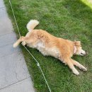 노삼웅한의원 | 엽기떡볶이 문정점, 헤어라인 상담, 연천 카라솔카페, 동두천 일미담, 노삼웅한의원, 포몬스 천호점>