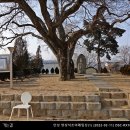 양성 석조여래입상 이미지