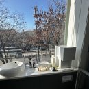 펫웨이브 동물의료센터 이미지