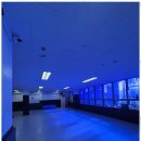 용인대수석태권도 이미지