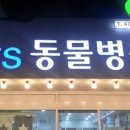 만년YES동물병원 이미지