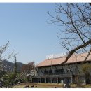 시안미술관 이미지