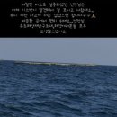 바다소식 이미지