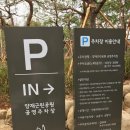 양재근린공원 이미지