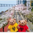 갈맷길8-2 | [부산 갈맷길 투어] 8-2구간 동천교부터 민락교까지 완보
