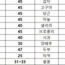 캣앤뷰티 이미지