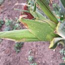 영후농장 이미지