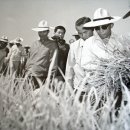 해금강주유소 이미지