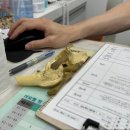 좋아서하는 동물병원 | 짱이의 십자인대 완전파열, 그리고 TPLO 수술 후기 (인방동물병원)