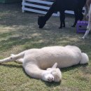 정우성농장 이미지