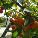 광용농장 이미지