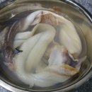 지라지 네이버블로그