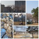 오층약국 이미지