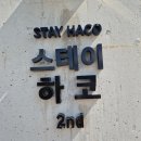 스테이하코