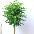 화이트 행정사사무소 이미지