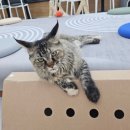 쿤이네집 이미지