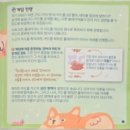 이개누구개 이미지