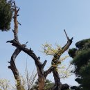 황계폭포 이미지