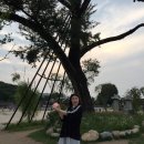 오복문구사