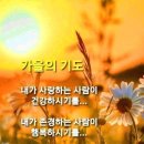 휘파람 펜션 네이버블로그
