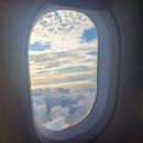 고양이 세수_설렘 이미지