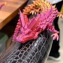 원더플 주식회사 이미지