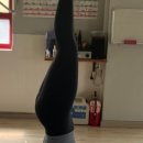 프라나요가 이미지