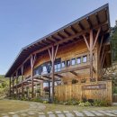 치유의숲 이미지