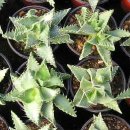 천금농장 이미지