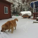 하늘아래 첫동네 꿩밭 이미지