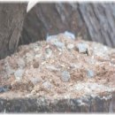 성림자동차 이미지