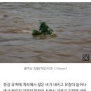 [속보] 서울 탄천(대곡교) 홍수경보 발령… 서울·성남 주민 주의 이미지