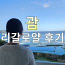 라구나호텔 | 괌 리가로얄 라구나 호텔 후기 수영장, 위치, 가성비 대 만족!