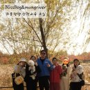 블리스독 이미지