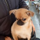 사천대로 이미지