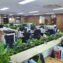 은천동-3 이미지