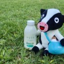 파랑새목장 이미지