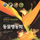 꾸러기동물병원 네이버블로그