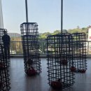 시립미술관 | 타이베이 시립 미술관 비엔날레 관람 후기