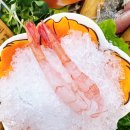 능평3-1소교량 | [유쉐프의 도시어부] 오포맛집 신현맛집 능평맛집 횟집 회맛집 숙성회맛집 내돈내산 후기 재방문의사있음