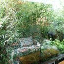 리케이온 이미지