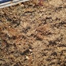 뽑아봐유 이미지