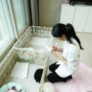 힐링퍼피 | [인천강아지분양 홍스퍼피] 친구들이랑 다녀온 행복한 댕댕이 입양 체험기